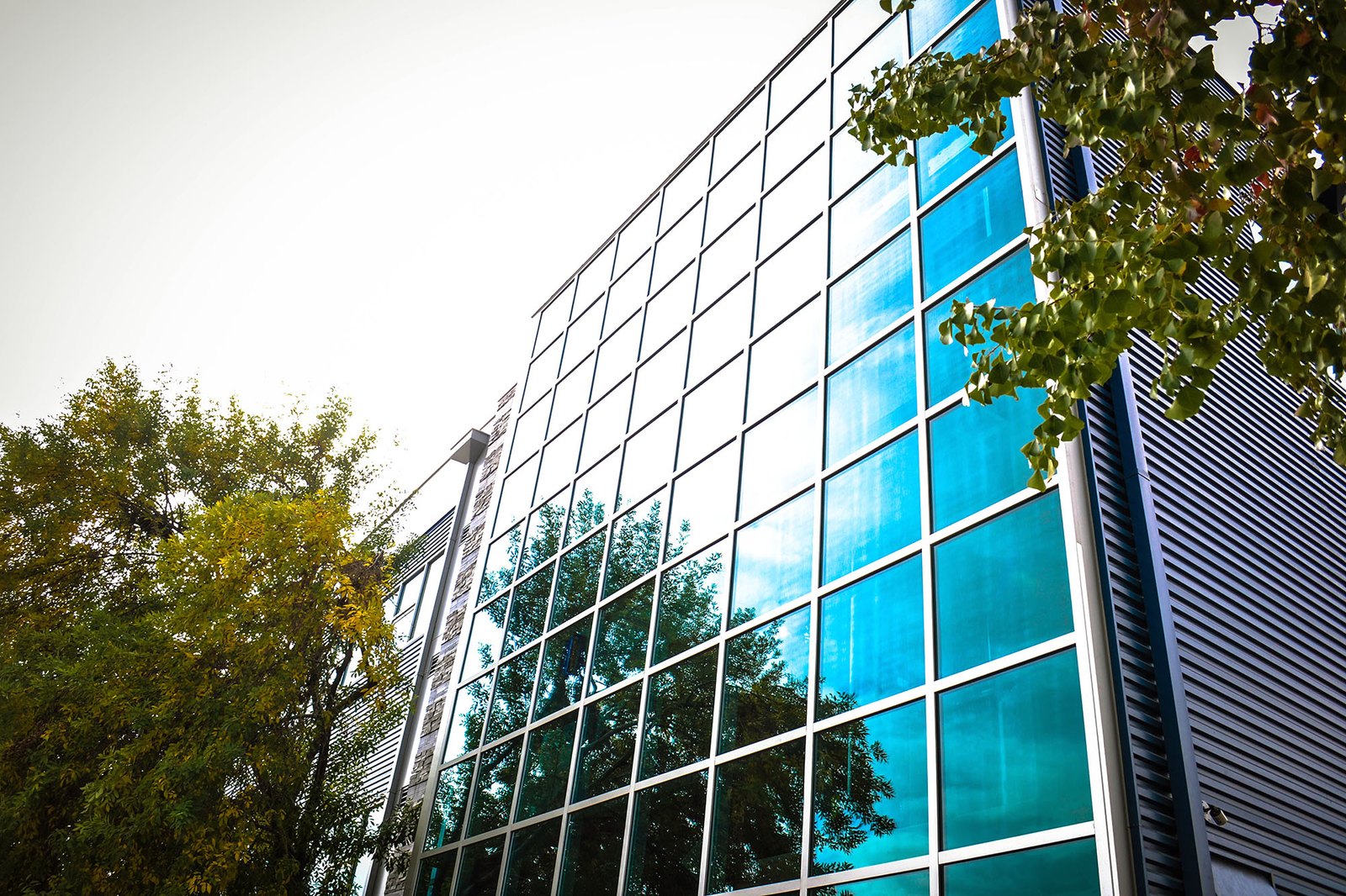 4548 Bissonnet — Dental Office — view 5
